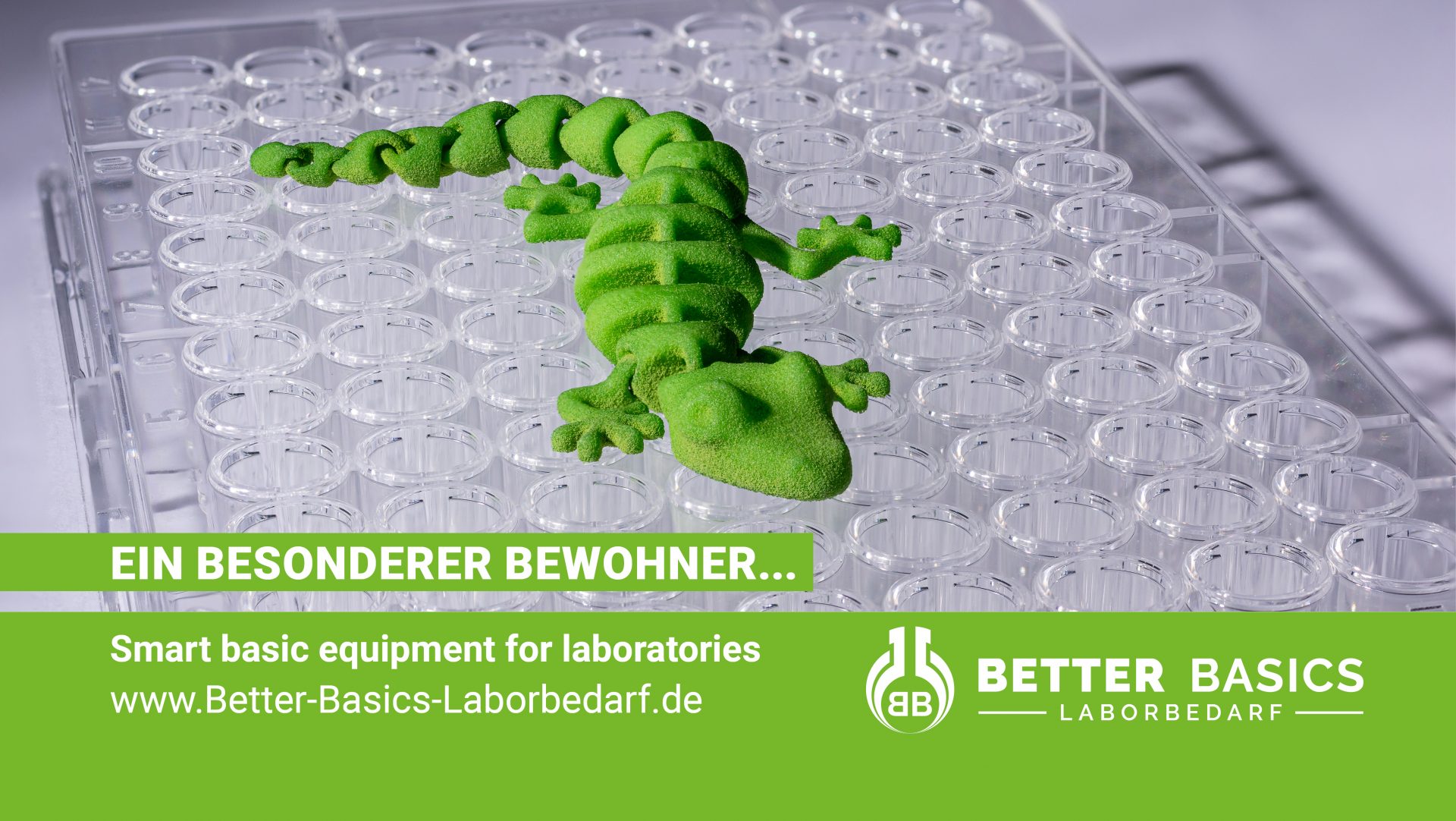 Ein bersonderer Bewohner Gecko Better Basics Laboredarf GmbH Newsbeitrag