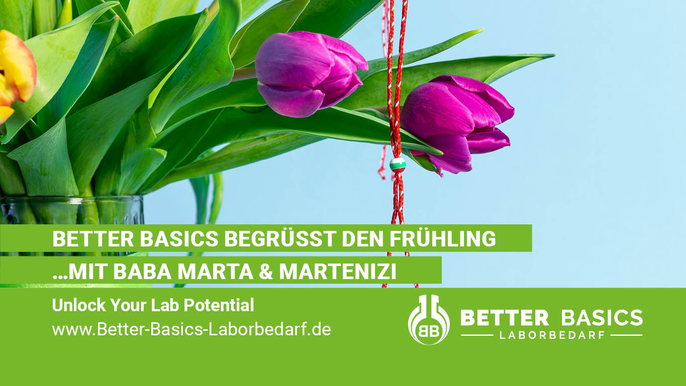 Mit dem Start in den März sind in Dresden die ersten Sonnenstrahlen und milden Temperaturen angekommen – und bei uns im Büro zeigen sich die ersten Frühlingszeichen direkt am Arbeitsplatz.