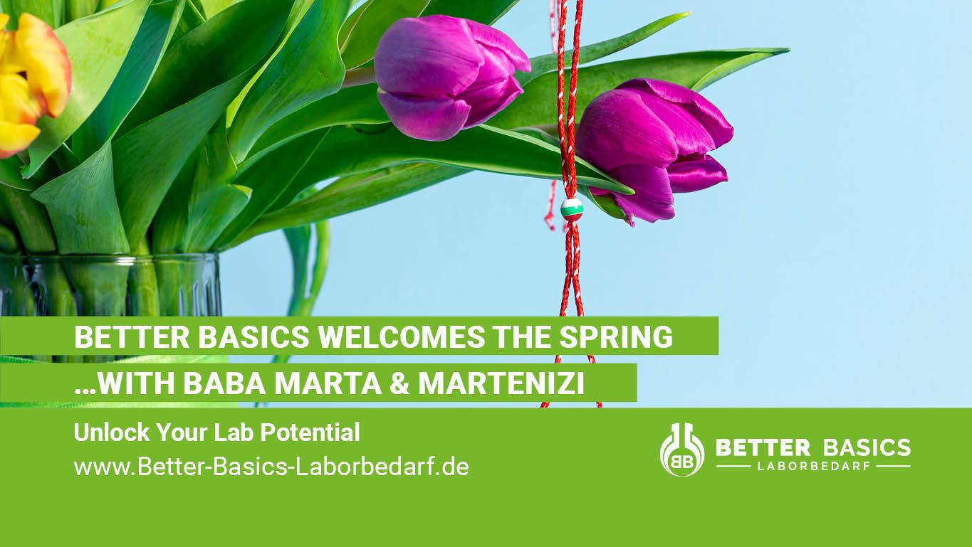 With the start of March, the first rays of sunshine and milder temperatures have arrived in Dresden – and in our office, the first signs of spring are already visible right at our desks.