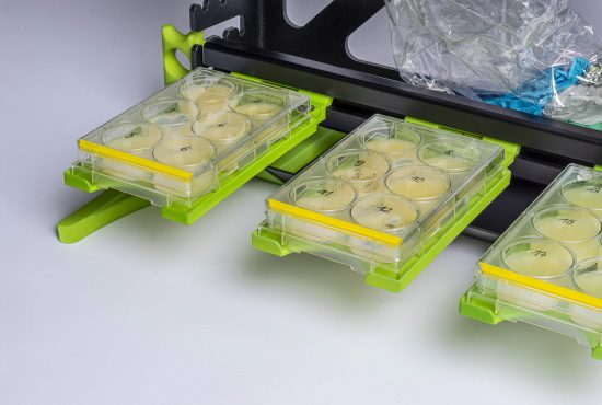 SmartRack mini Biologie A1-2